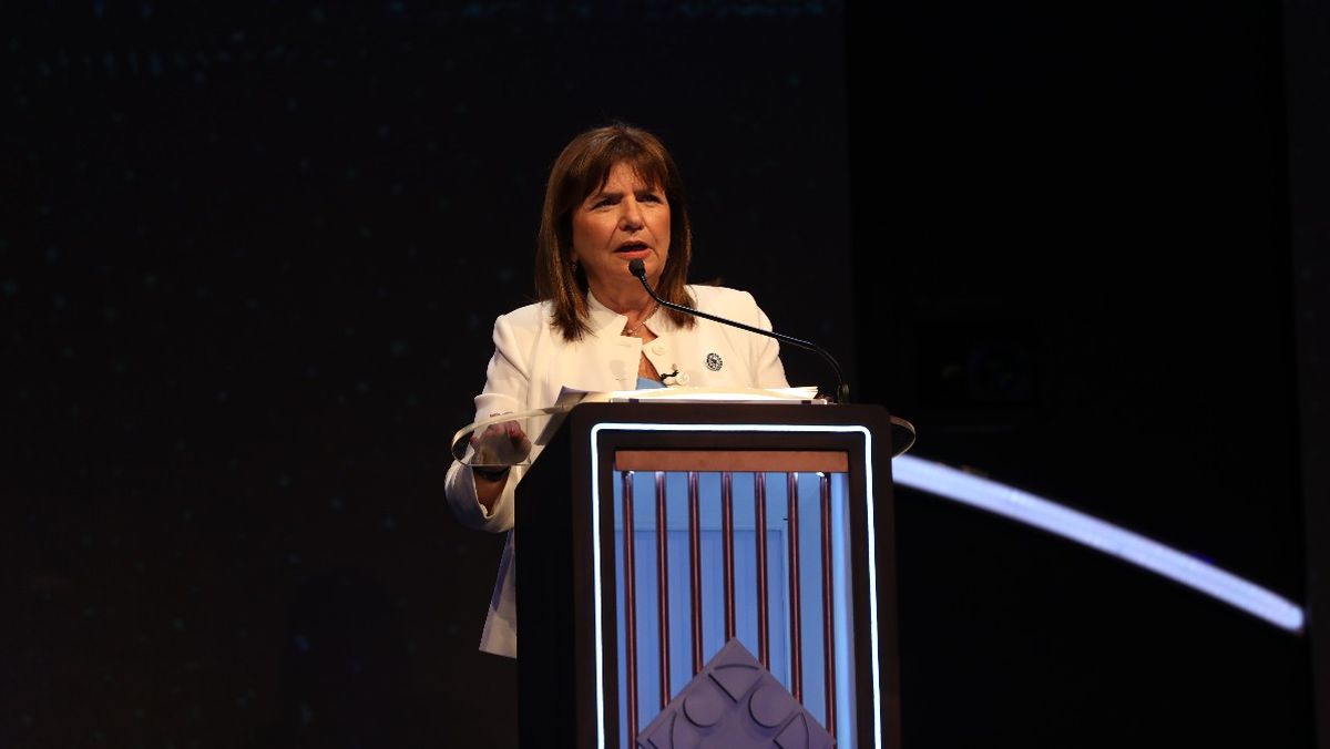 Petri justificó la moderación de Bullrich en su participación en el debate. Petri justificó la moderación de Bullrich en su participación en el debate.