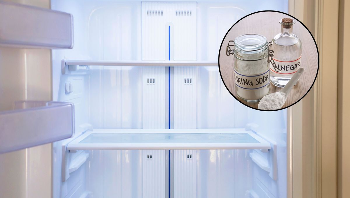 Cuáles son los beneficios de colocar un vaso con vinagre y bicarbonato en la heladera