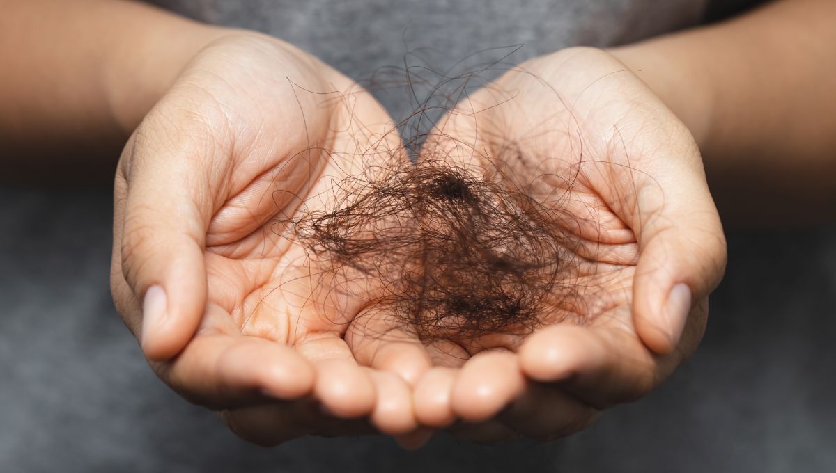 Se aconseja hidratar y proteger el pelo del sol durante la primavera y el verano. Se aconseja hidratar y proteger el pelo del sol durante la primavera y el verano. 
