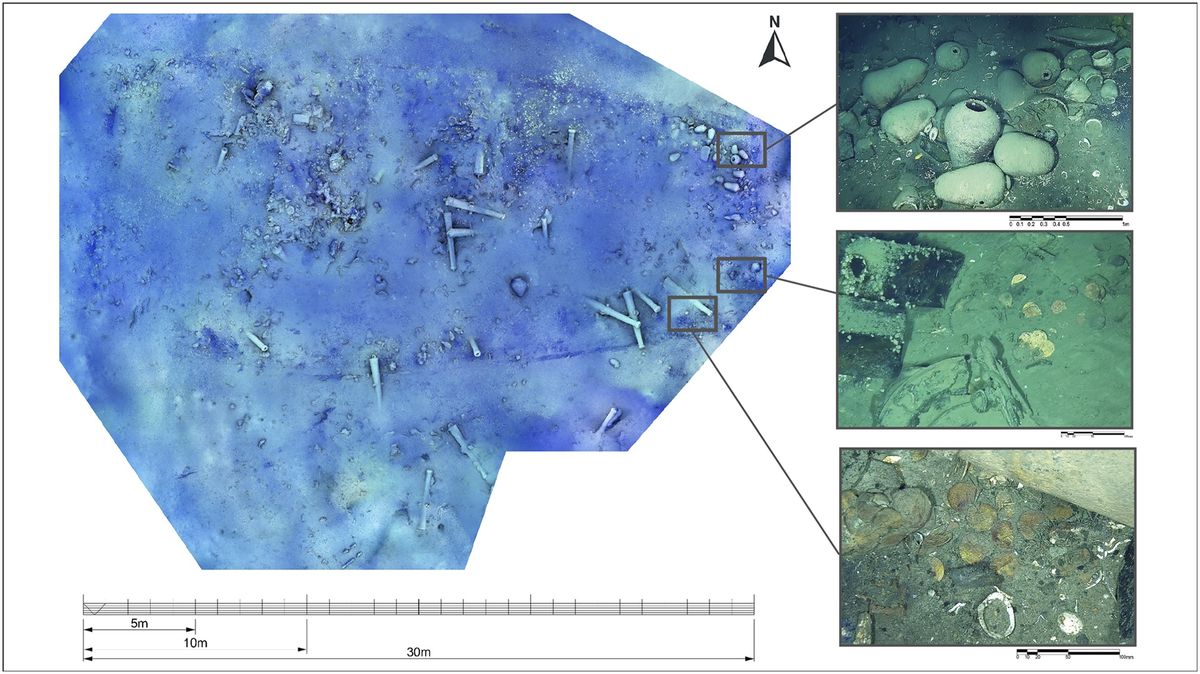 Un descubrimiento es considerado "el más valioso del mundo". Un descubrimiento es considerado "el más valioso del mundo".
