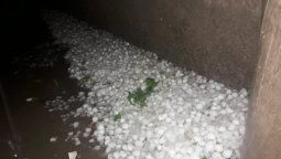 Granizo y mucho viento en Santa Rosa