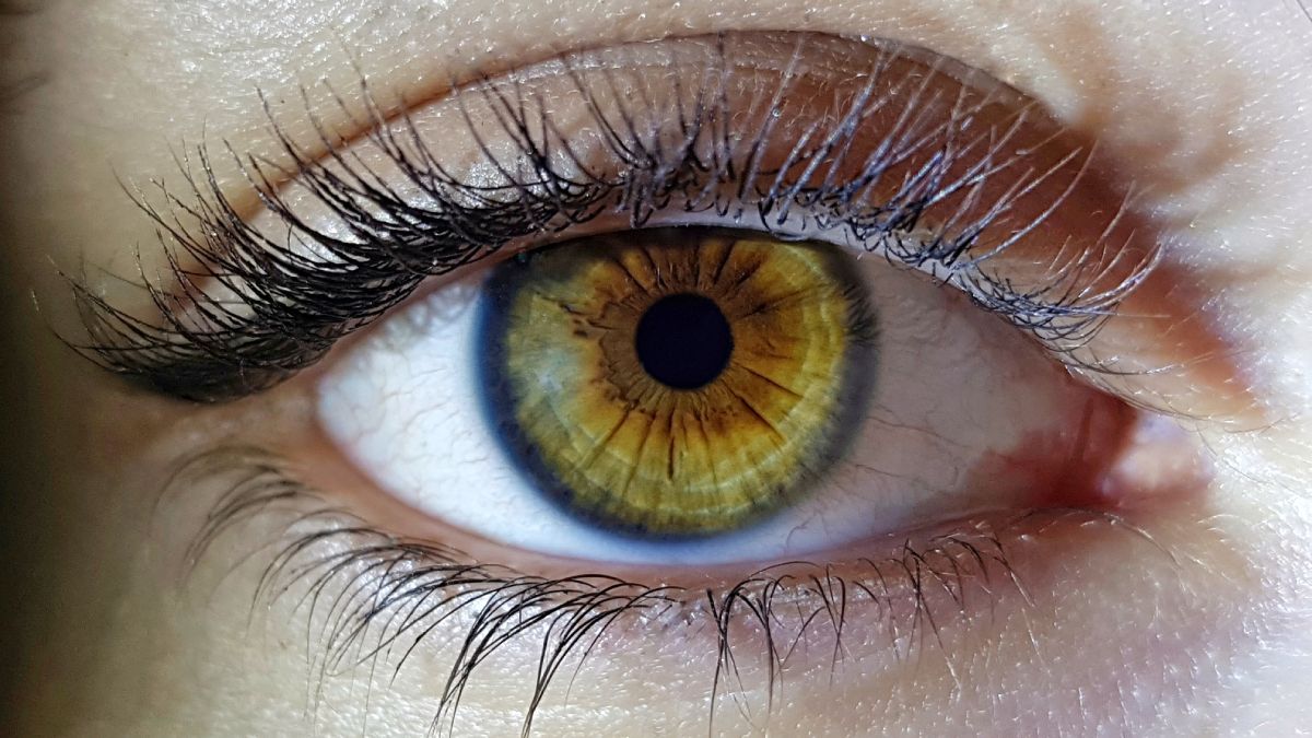 Foto: Freepik. Foto: Freepik.