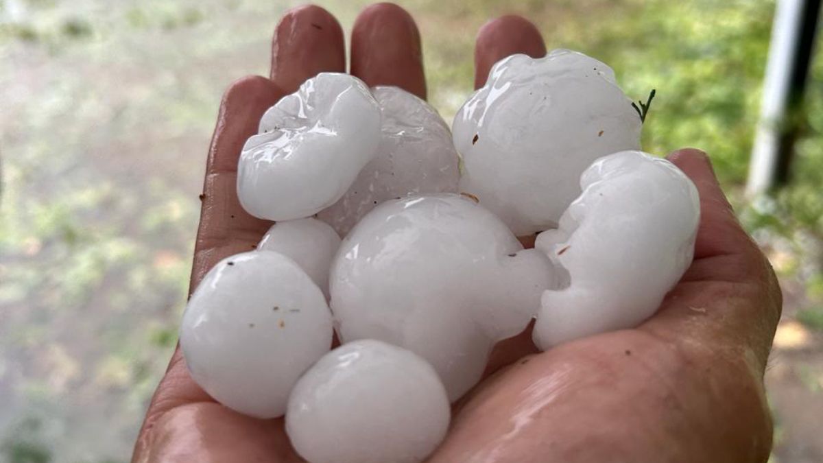 Tamaño habitual del granizo que cae en Mendoza cuando la tormenta es fuerte. Tamaño habitual del granizo que cae en Mendoza cuando la tormenta es fuerte.
