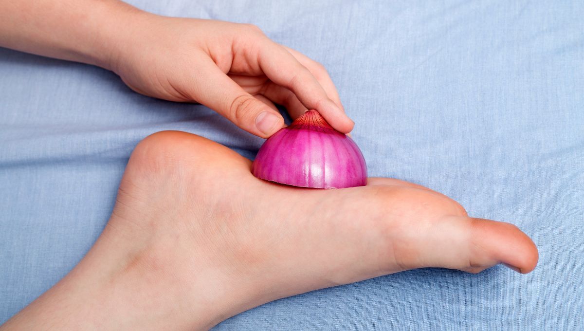 La cebolla ayuda a prevenir enfermedades respiratorias. La cebolla ayuda a prevenir enfermedades respiratorias.