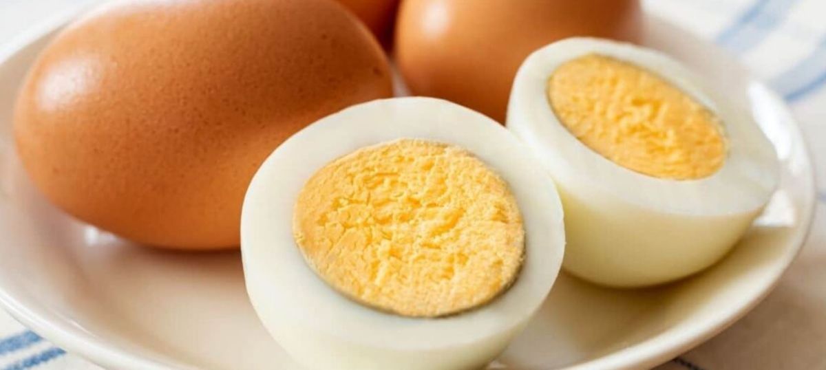 Alimento saludable. Beneficios de comer huevo todos los días. Alimento saludable. Beneficios de comer huevo todos los días.