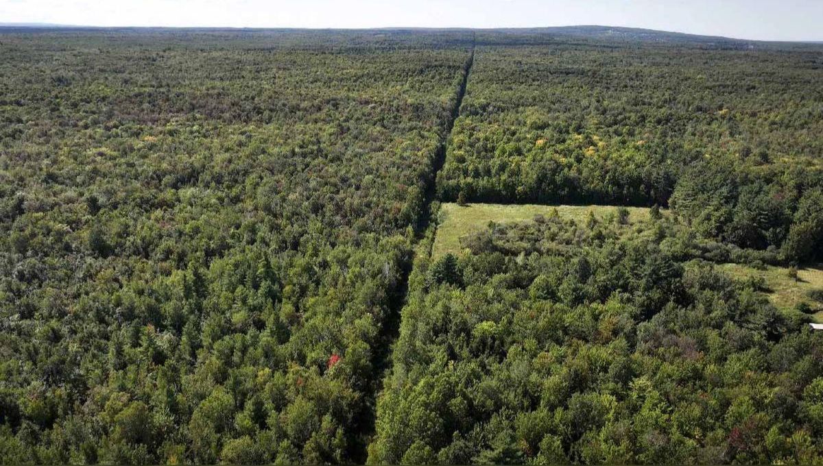 La frontera más larga del planeta Tierra no tiene muros ni ejército y es de una potencia
