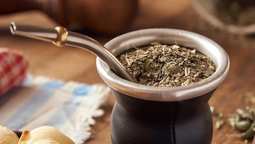 Parkinson: descubren que el mate podría contribuir a combatir la enfermedad