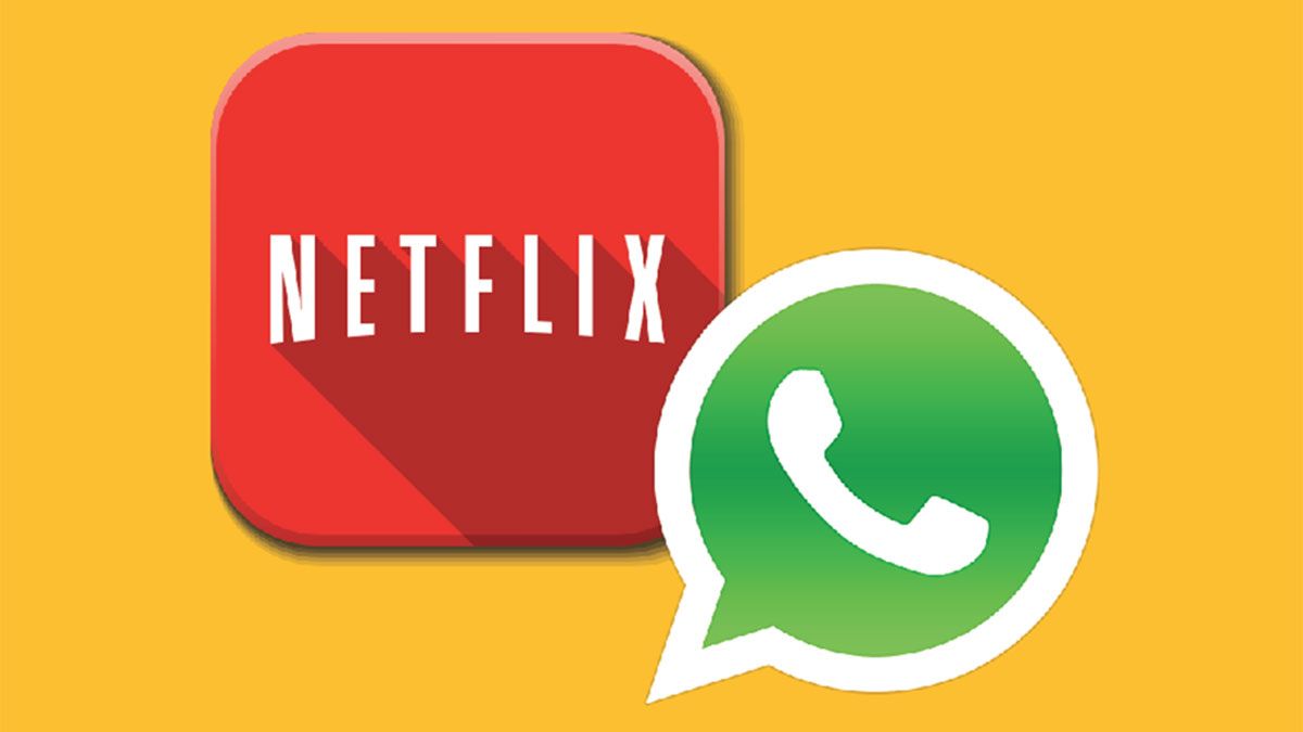 qual e o número da netflix whatsapp