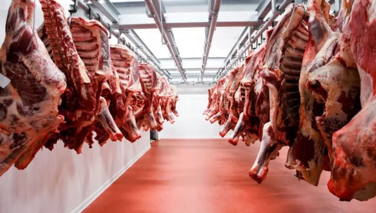 No es Argentina: el país de América Latina que es el mayor exportador de carne y referente del mundo