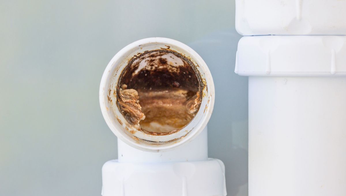 Utiliza vinagre y agua caliente para destapar las cañerías del baño. Utiliza vinagre y agua caliente para destapar las cañerías del baño. 