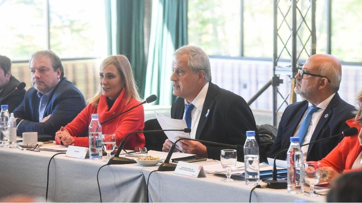 El ministro Jaime Perczyk durate una de las sesiones del Consejo Federal de Educación.