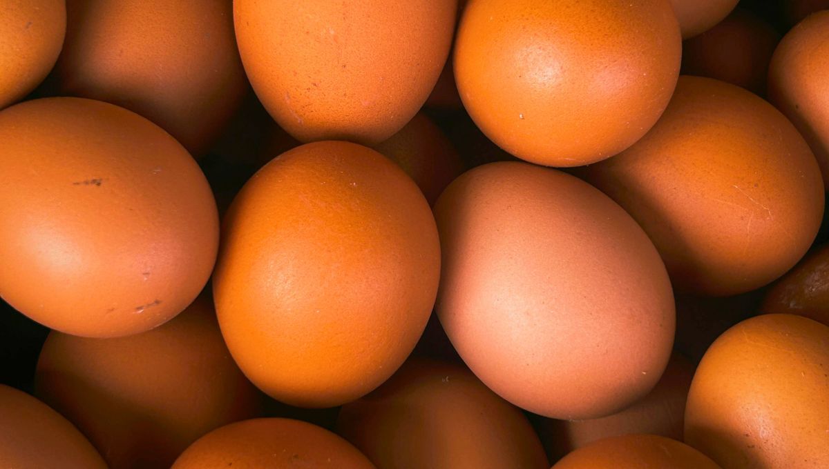 El huevo es un alimento rico, versátil y fácil de preparar. El huevo es un alimento rico, versátil y fácil de preparar.