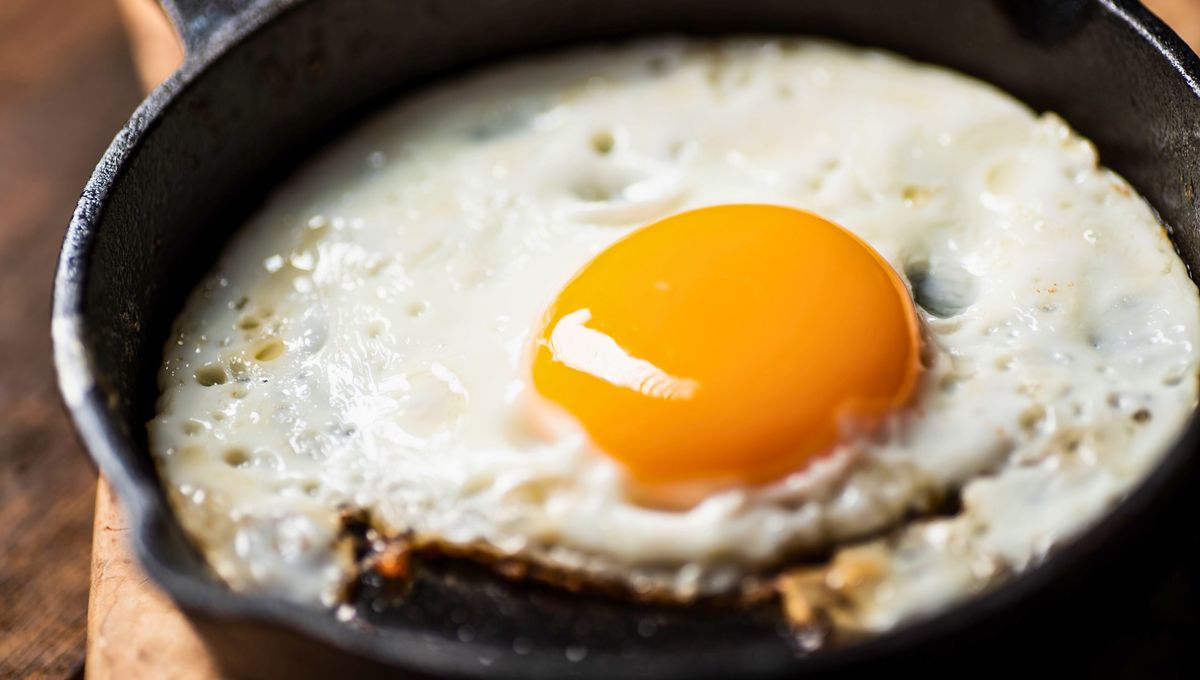 Los huevos son producto del proceso de ovulación de las aves hembras, como las gallinas Los huevos son producto del proceso de ovulación de las aves hembras, como las gallinas