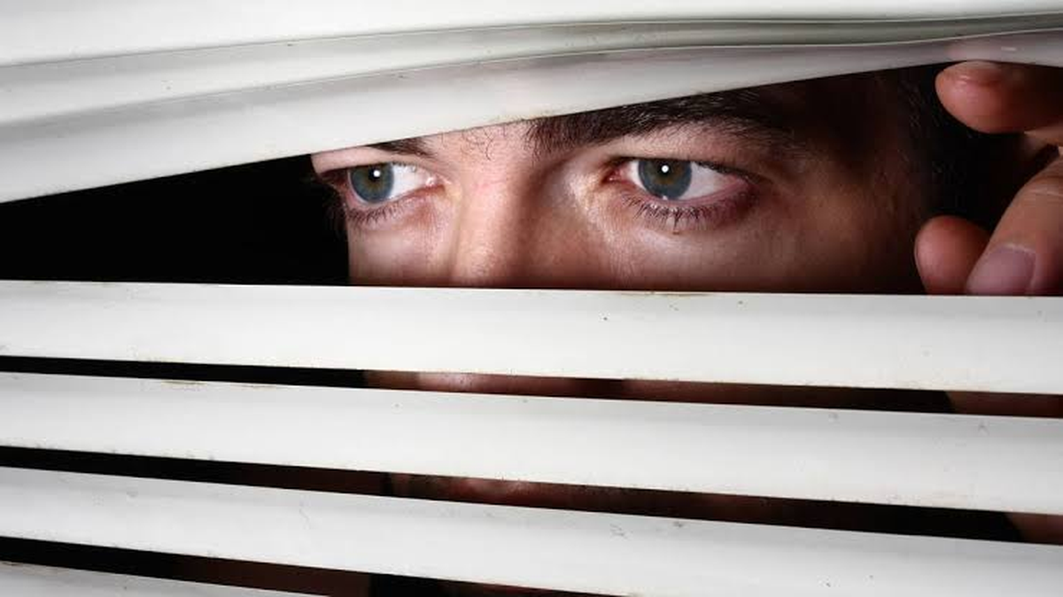 La ciencia conoce a este fenómeno como "percepción de la mirada" y sugiere que hay una compleja red neurológica detrás de esta habilidad. La ciencia conoce a este fenómeno como "percepción de la mirada" y sugiere que hay una compleja red neurológica detrás de esta habilidad.