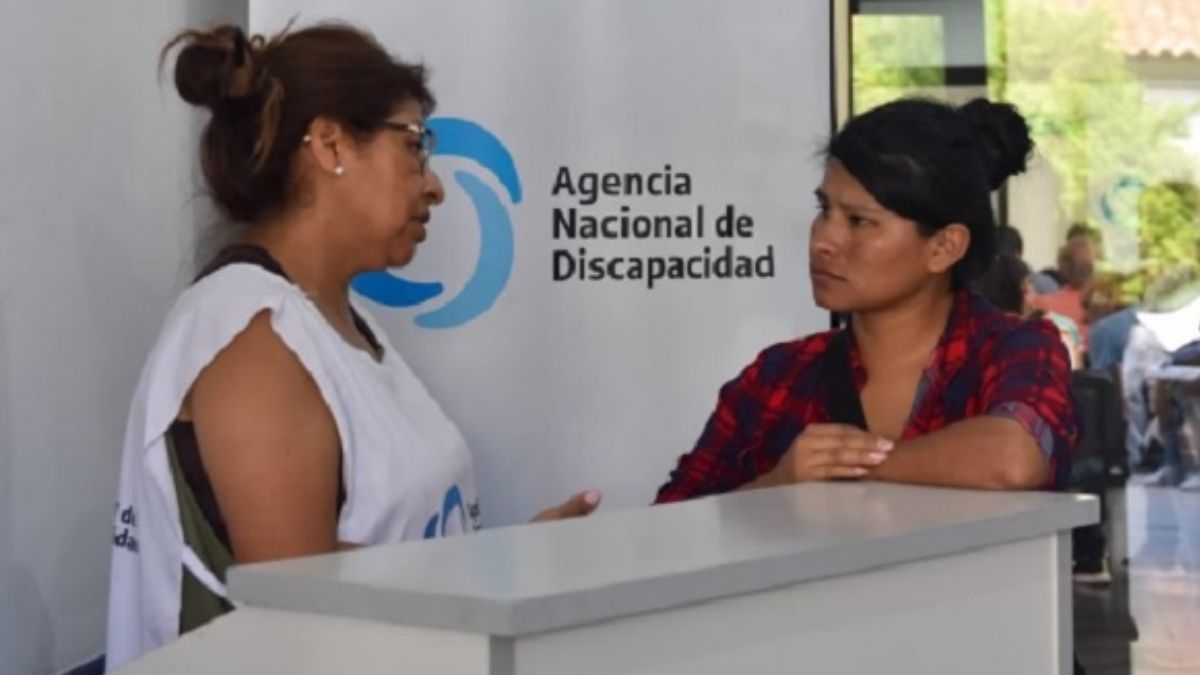 El gobierno nacional reforzó el presupuesto en ANDIS pero suspendió la ejecución de la ley en emergencia en discapacidad.