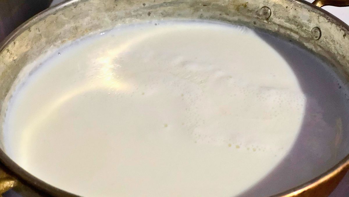 Esta capa se forma por la acumulación de proteínas. Esta capa se forma por la acumulación de proteínas. 