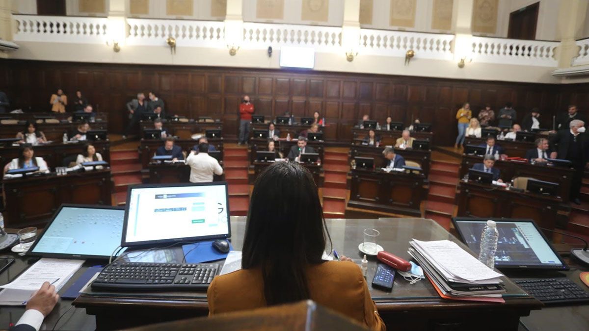 Natacha Eisenchlas milita desde hace más de tres décadas y reconoce que este momento de su carrera es