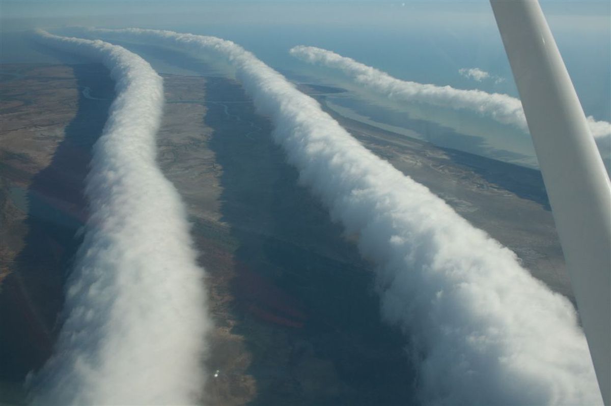 Solo se pueden observar en Australia Solo se pueden observar en Australia