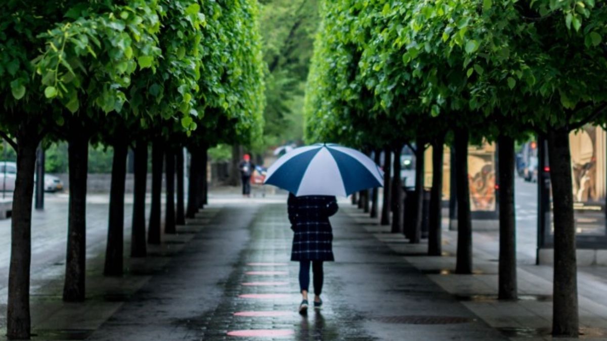 Foto: Unsplash Foto: Unsplash