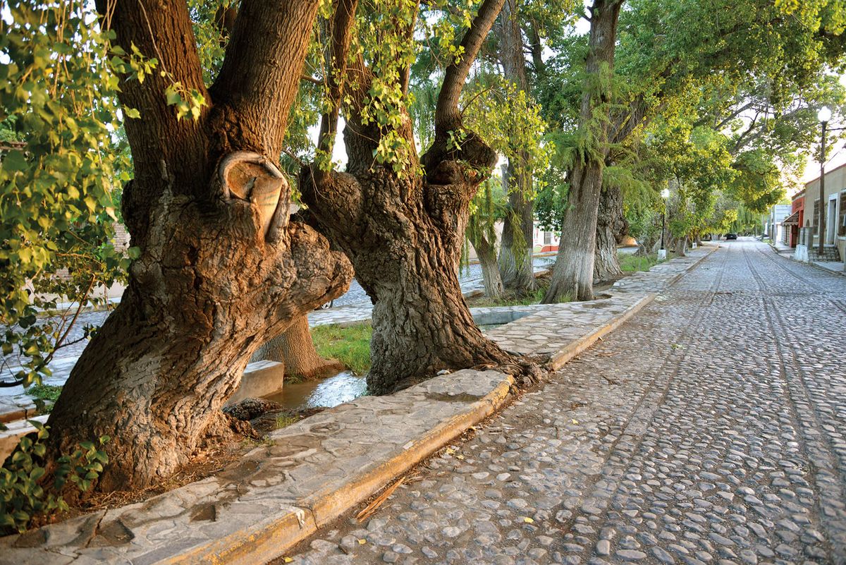 Las calles de Arteaga, tranquilas y seguras.