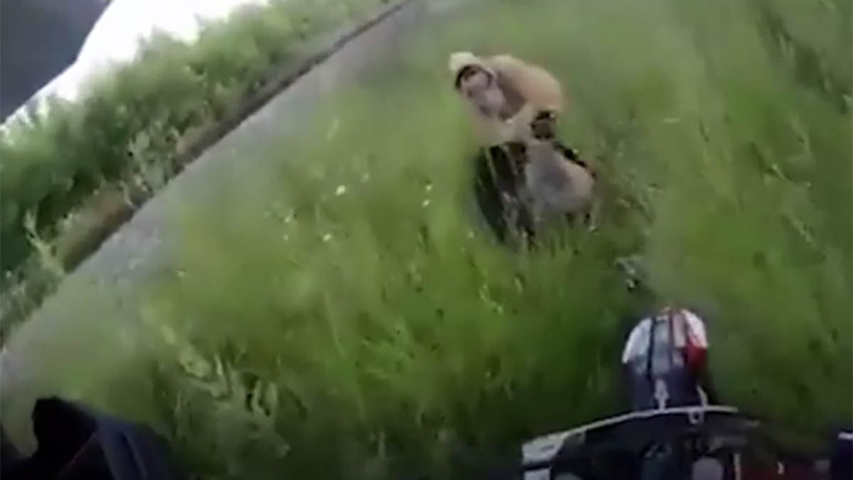 Video: motociclista sorprendió a una pareja entre los yuyos