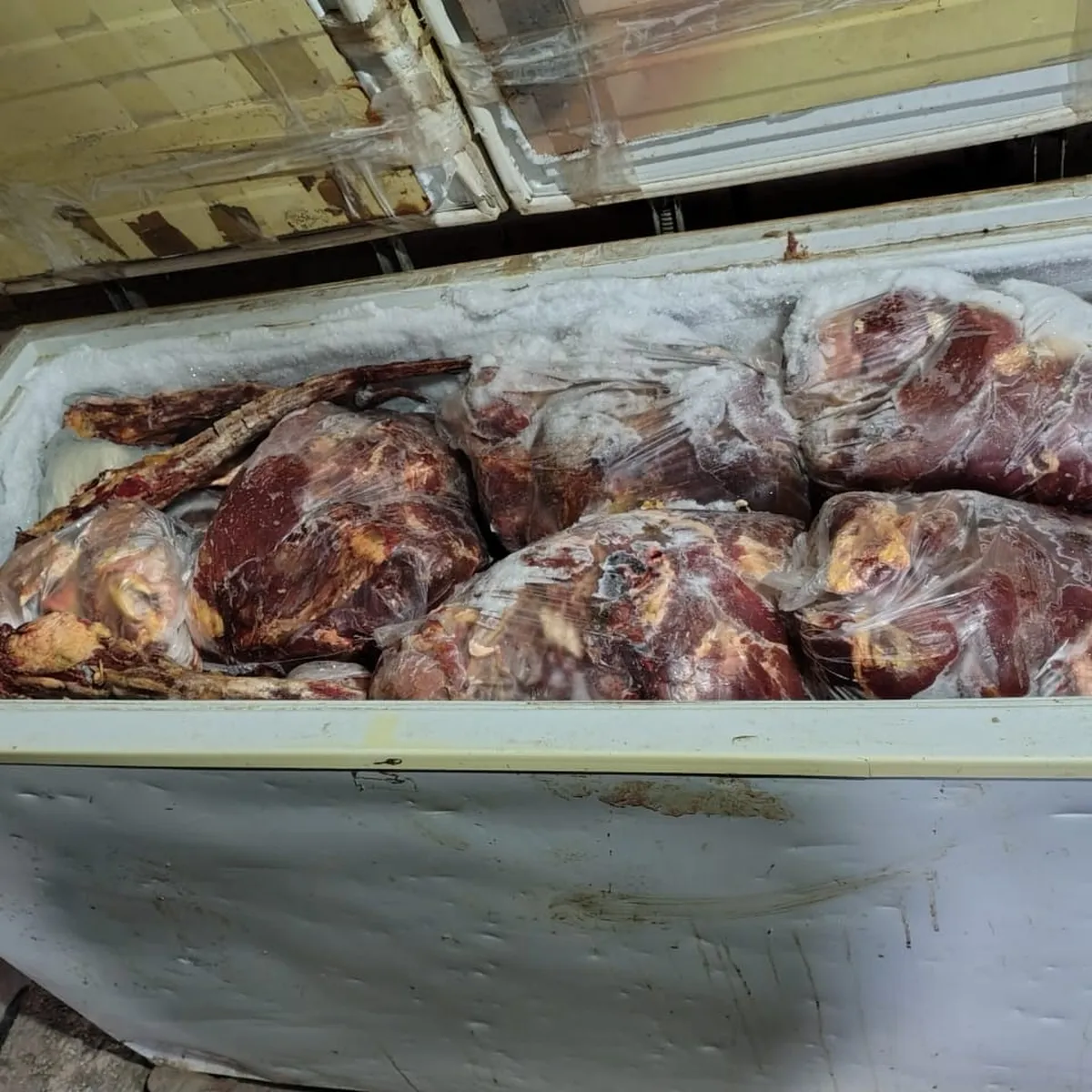 Parte de la carne en mal estado.