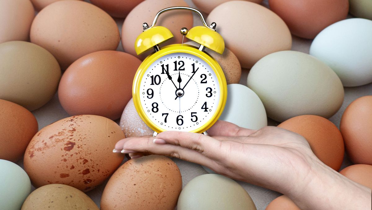 ¿En qué momento del día conviene comer huevos para aprovechar sus beneficios?