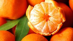 Beneficio de comer mandarina.