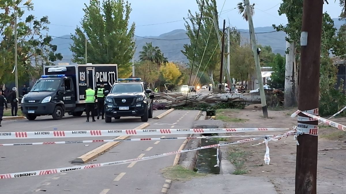 El Zonda provocó la caída de un árbol en Las Heras, que aplastó a un motociclista. El joven murió en el lugar.&nbsp;