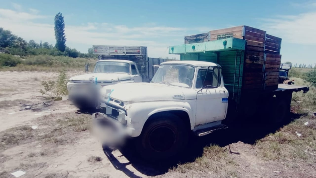 Las personas rescatadas son oriundas de Salta y en la finca vivían hacinadas en condiciones precarias.