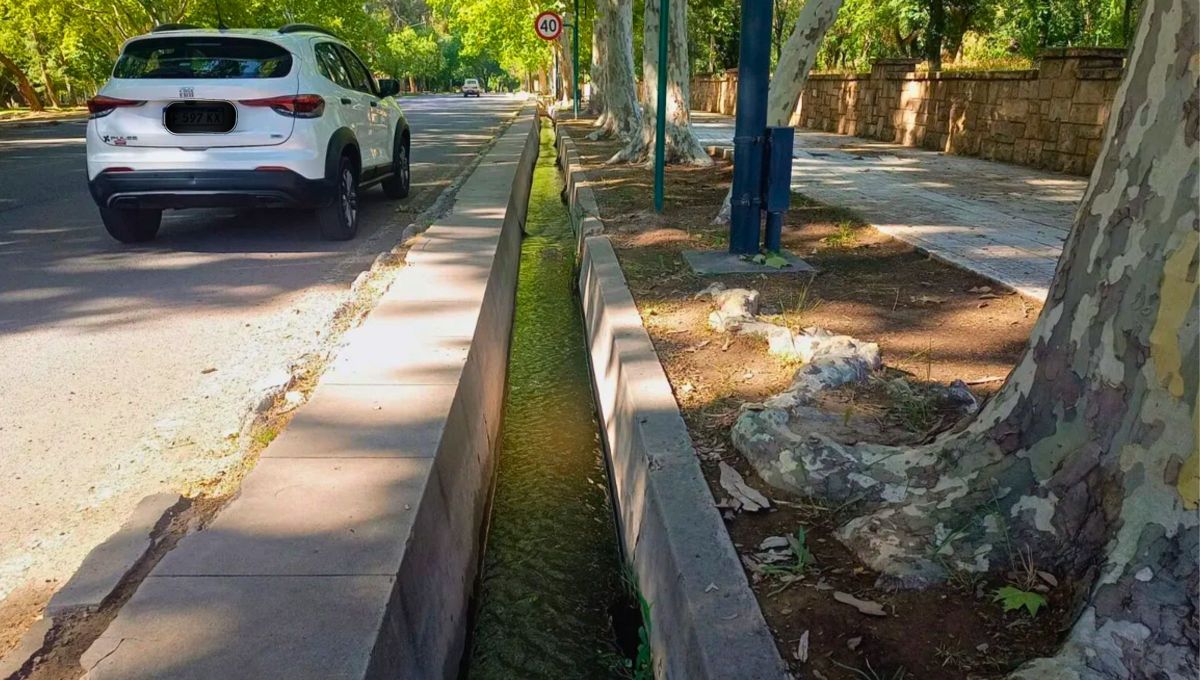 Las famosas acequias mendocinas, cuna de miles de historias y en particular de "cuidado, no te vayas a caer a la acequia". Las famosas acequias mendocinas, cuna de miles de historias y en particular de "cuidado, no te vayas a caer a la acequia".