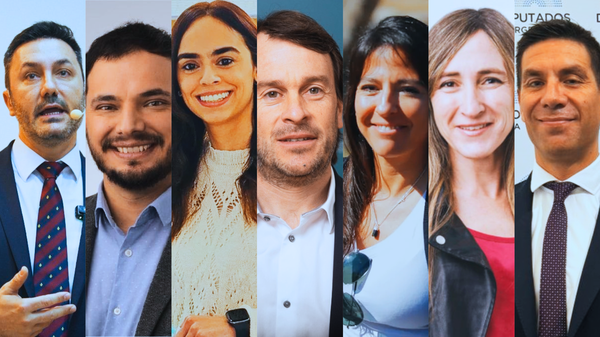 Luis Petri, Álvaro Martínez, Julieta Metral, Lisandro Nieri, Pamela Verasay, Mercedes Llano y Facundo Correa Llano votaron a favor del recorte de subsidios que afectará a toda Mendoza, con excepción de Malargüe.