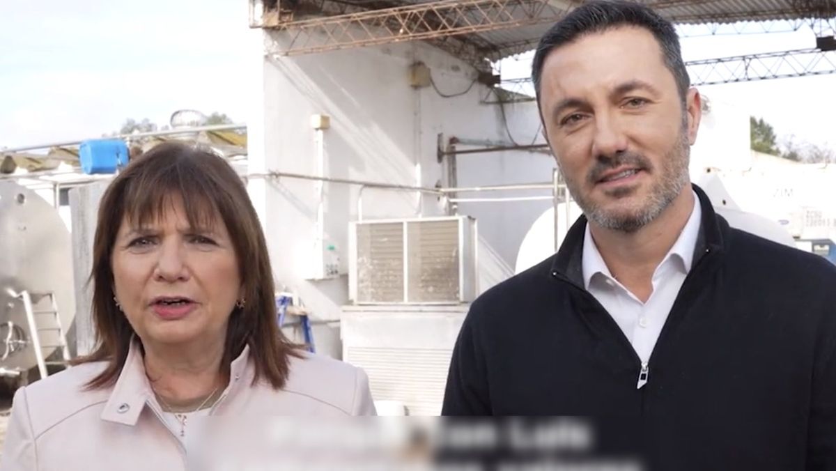 Bullrich y Petri en el video que confirmó la fórmula.&nbsp;