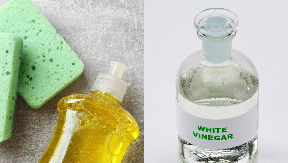 Solo hay que colocar ambos ingredientes en una botella con agua. Solo hay que colocar ambos ingredientes en una botella con agua. 