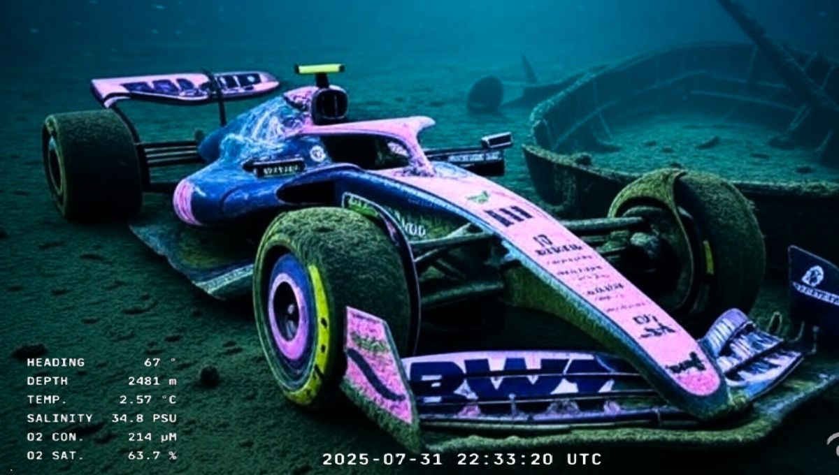 Franco Colapinto fue perjudicado por Alpine en el Gran Premio de Hungría