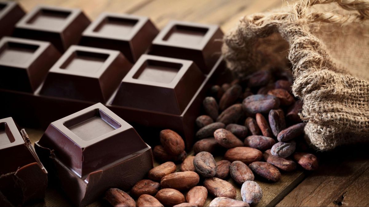 El cacao sigue sorprendiendo a los científicos. El cacao sigue sorprendiendo a los científicos.