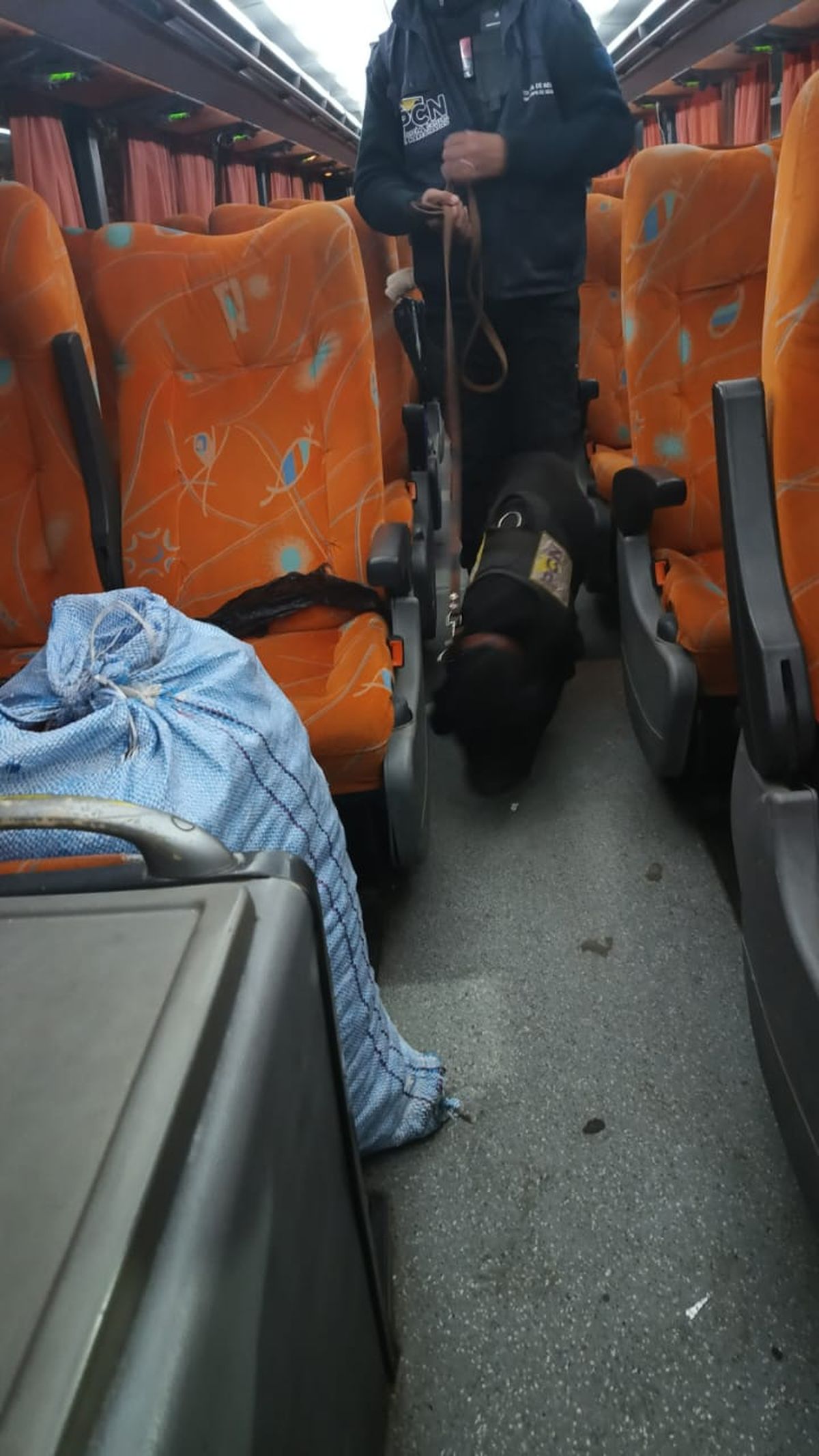 Los efectivos de la División Contra el Narcotráfico trabajaron junto a perros entrenados para la lucha contra el tráfico de estupefacientes. Los efectivos de la División Contra el Narcotráfico trabajaron junto a perros entrenados para la lucha contra el tráfico de estupefacientes.