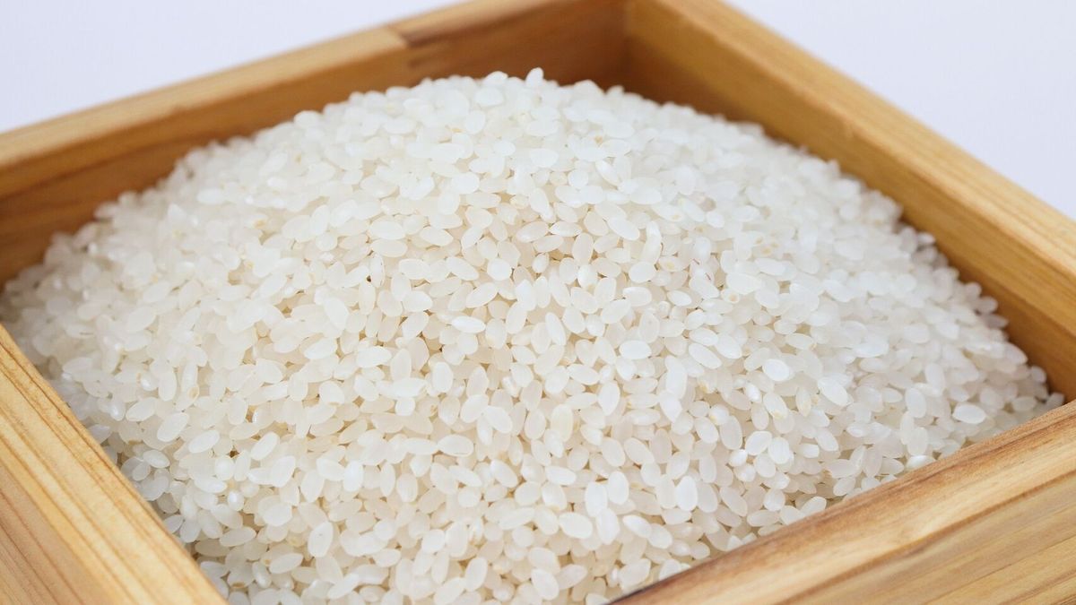 Desagradable sorpresa. Compró arroz de una conocida marca y cuando lo abrió encontró algo asqueroso.