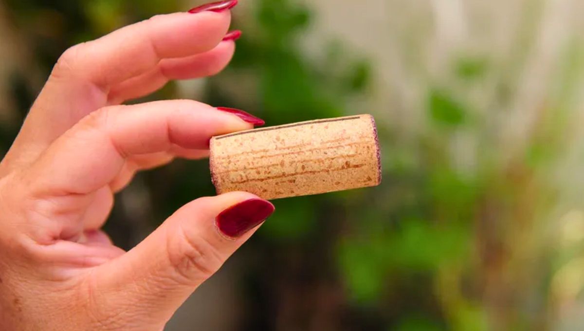 El corcho ayuda a desprender el sarro de las canillas. El corcho ayuda a desprender el sarro de las canillas.