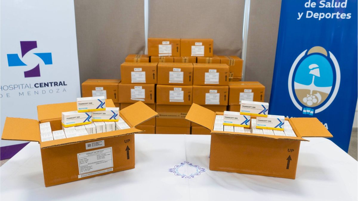 Montero detalló que cada comprimido del micofenolato de mofetilo fue adquirido a $200 contra los $1.200 que cuesta en el mercado local. Montero detalló que cada comprimido del micofenolato de mofetilo fue adquirido a $200 contra los $1.200 que cuesta en el mercado local.