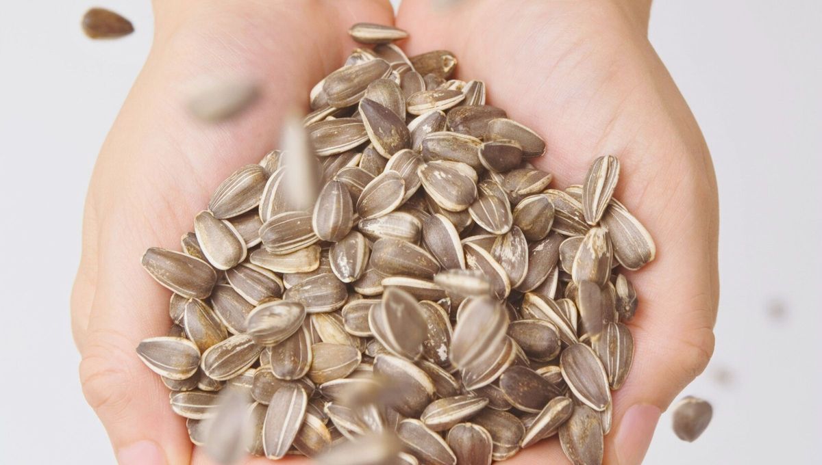 ¿Sabías que si tenés pipas o semillas de girasol tenés un tesoro en tus manos?: por qué y cómo utilizarlas