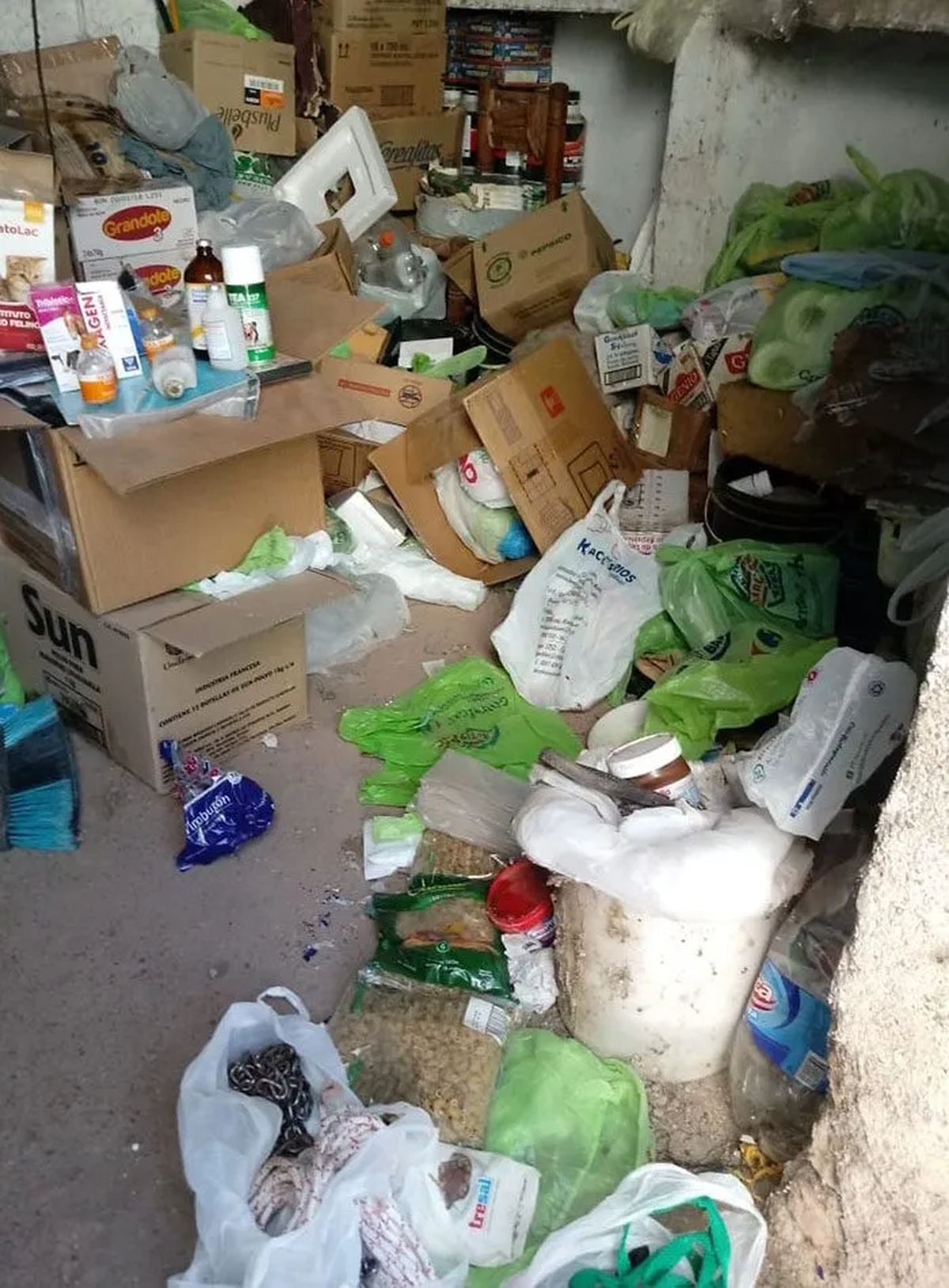 Gil Pereg vivía rodeado de mugre, desorden y materia fecal de gatos.