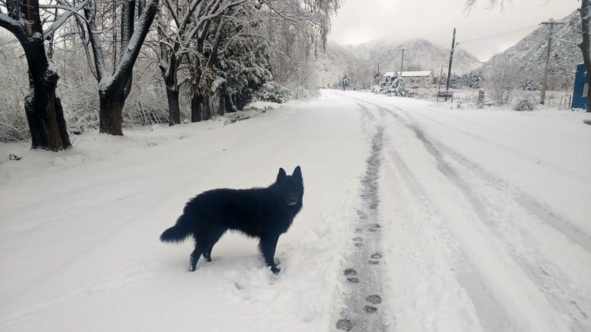 El Manzano Histórico