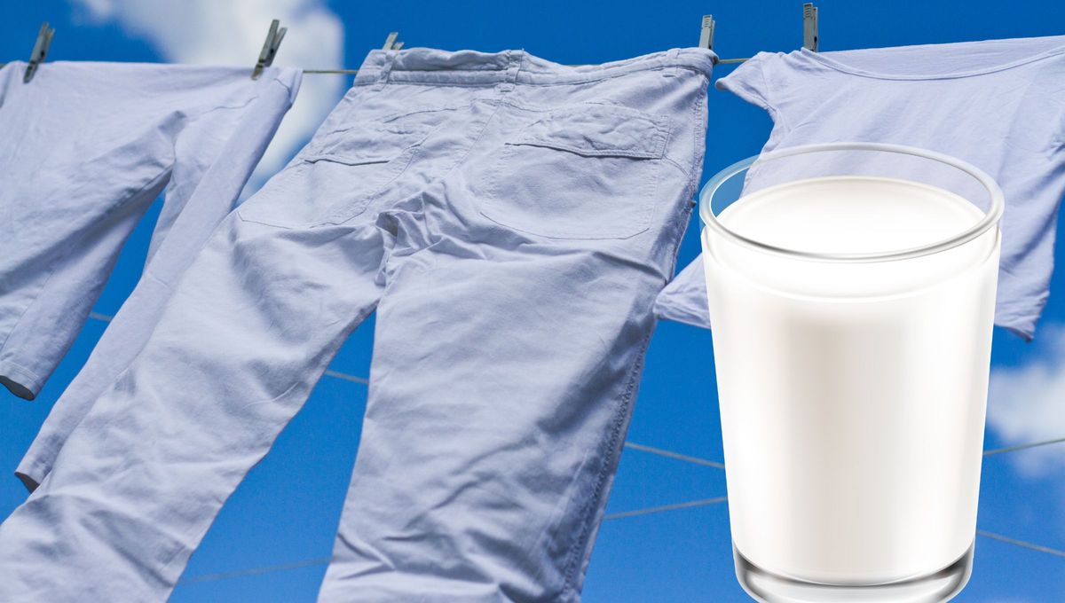 Por qué hay que lavar la ropa blanca con leche y para qué sirve