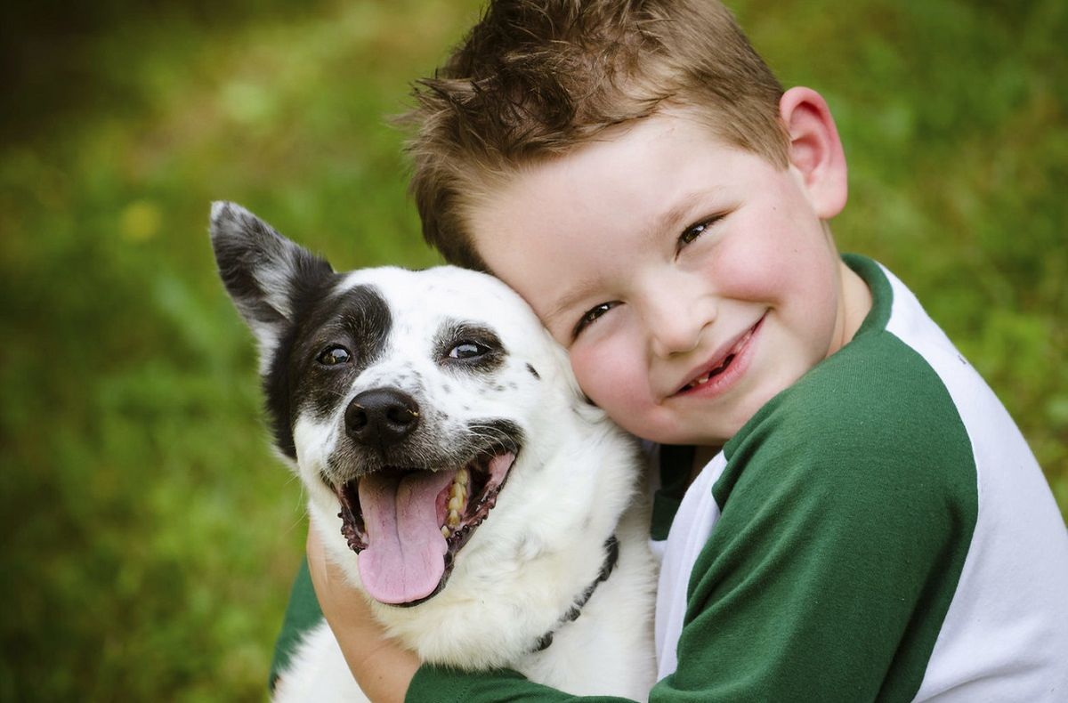 Las razas de perros ideales para que convivan con niños
