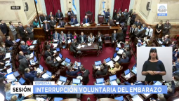 Seguí en vivo el debate de la ley de aborto en el Senado