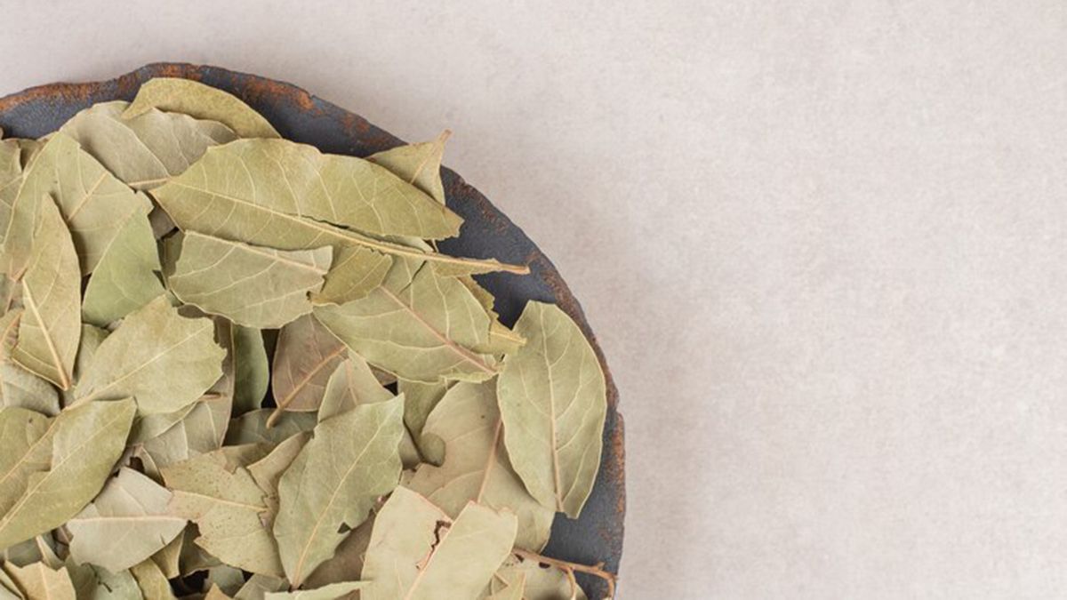 Remedios caseros: las hojas de laurel pueden ayudar con la descongestión de un resfrío. Remedios caseros: las hojas de laurel pueden ayudar con la descongestión de un resfrío. 