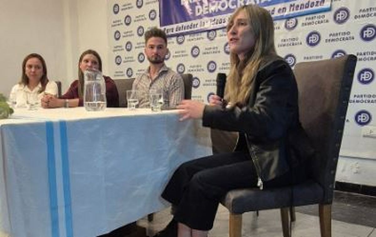 Mechi Llano defendió la reforma laboral.