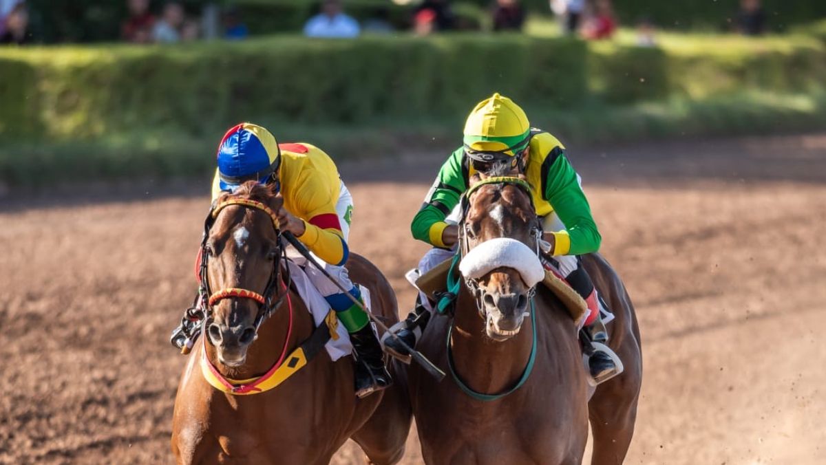 Furioso de Acero comienza a ganarle la pulseada a Macklin a metros del disco. El pupilo de Stirpa ganó el Clásico Clausura 2023.