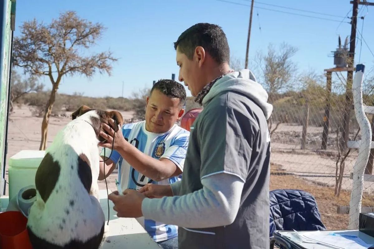 Por tercer a&ntilde;o consecutivo, el programa visitar&aacute; durante mayo y junio distintos puntos de Lavalle.